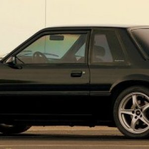 MYMustang