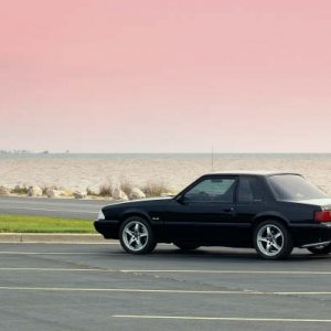 Mustang1