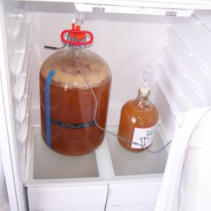 IPAfermenting