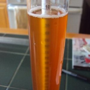 Hefe 5 days - gravity