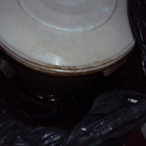 All those wasted dry hops......