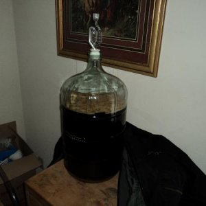 After about 16 hours in primary
