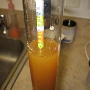 Hydrometer Reading of the Belgian Pale Ale pre-fermentation