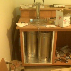 I can fit 1 half barrel, 2-1/4s, 2-sixths(pictured), a 50l or a 1/4 short.