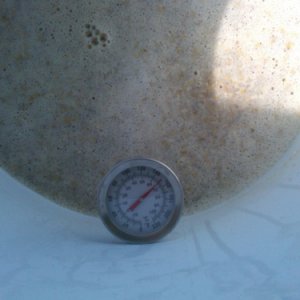 Mash Temp