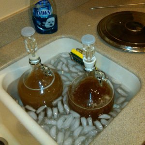 Mead