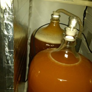 Inside Ferm Chamber 1
