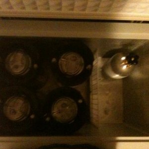Avanti 7.1 Freezer fits 4 corny's and the 5# CO2 on the hump