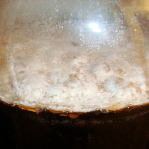 Pellicle1