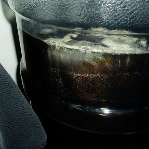 P10100331