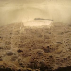 DSC01188