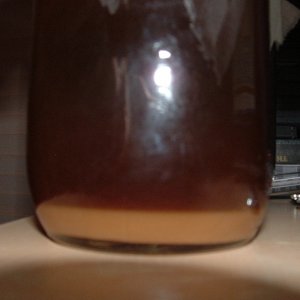 Chimayyeast1