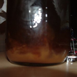 Chimayyeast3