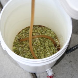 brewday_024