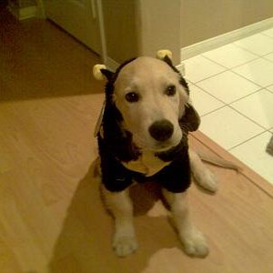 TobyHalloween1