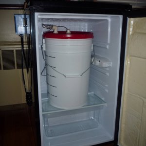 InsdieFermFridge