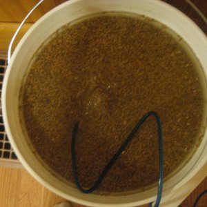 MaltMaking