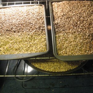 MaltMaking
