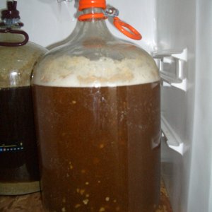 BelgianWit111108