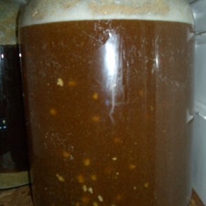 BelgianWit111108