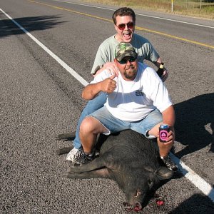 TL_on_Hog