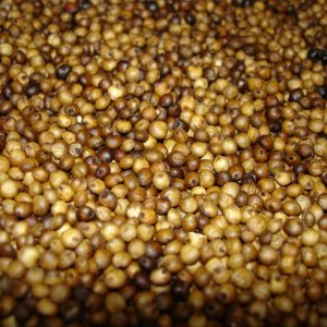 MediumRoastedSorghum