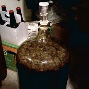 carboy21