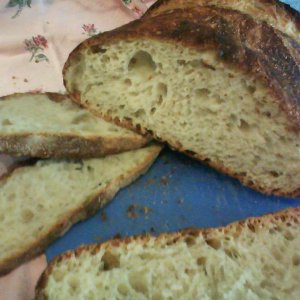 NoKneadbreadpictwo
