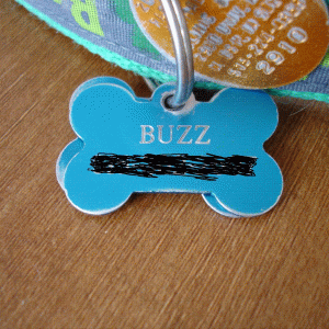 buzz_shot_004