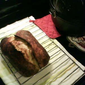NoKneadBreadloaf3