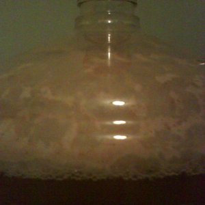 Coopersyeastincider1