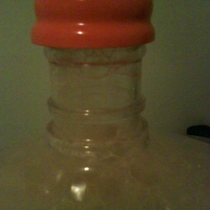 Coopersyeastincider2