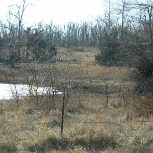 MountainLion