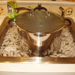 Theholyicebath