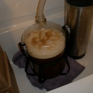 BraggotFermentation