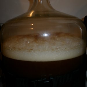 BraggotFermentation