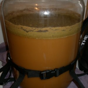 BraggotFermentation