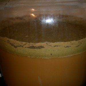 BraggotFermentation