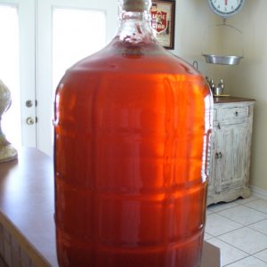 WatermelonWheat