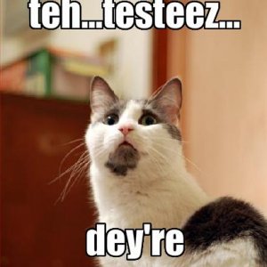 testeez