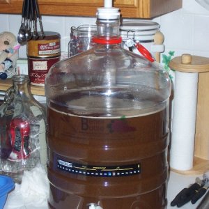 Cooledwortinfermenter