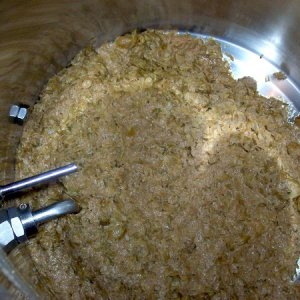 Hopsandtrubinboiler
