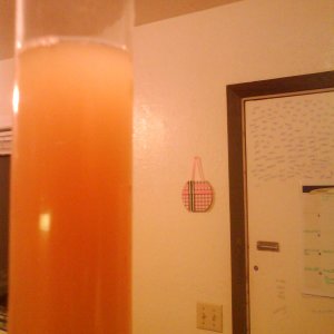 WitBeer3