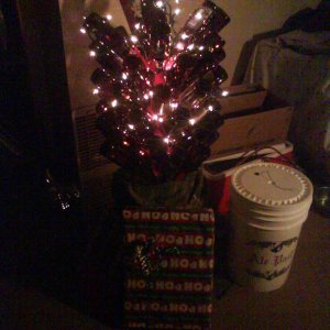 MyChristmasTree