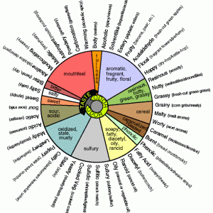 FlavorWheel