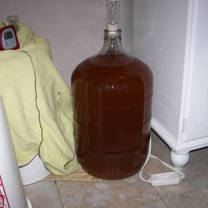 applewine