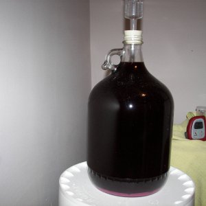 blackberryampunderthecoverappleraspberrycider