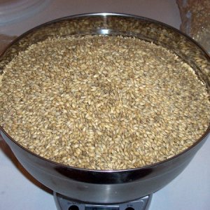 8lbsofpaleUS2-row
