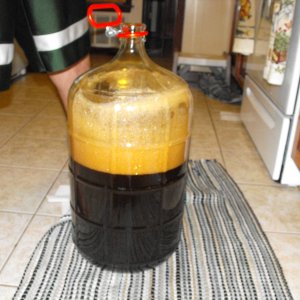 MooseheadStout