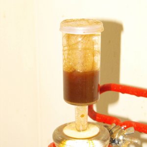 Crazyfermentation